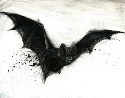 A dark bat flies toward the viewer with both wings spread against a pale, loosely painted background.