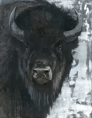 Close frontal portrait of an American bison, with curved horns, dark shaggy fur and a broad muzzle.