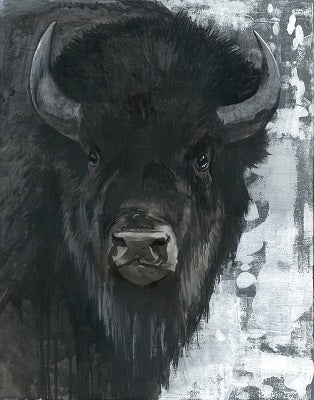 American Bison Portrait
