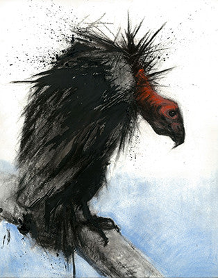 A black condor with a red bare head and spiky neck feathers perches on a pale branch against blue-gray.
