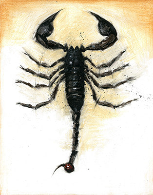 A black scorpion seen from above spreads its claws and extends its segmented tail against a warm cream wash.